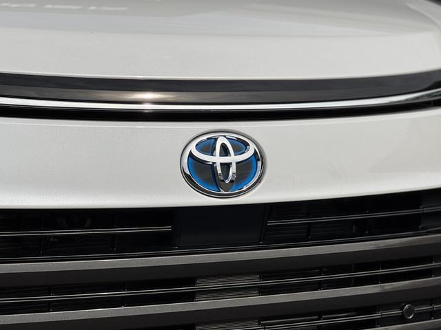 ヴォクシー 13.2型有機EL後席モニター 快適利便パッケージHigh ユニバーサルステップ ドライビングサポートパッケージ トヨタチームメイトドライビングサポートパッケージ 10.1インチディスプレイオーディオ(14枚目)