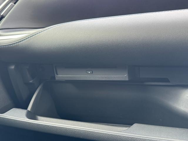 ヴォクシー 13.2型有機EL後席モニター 快適利便パッケージHigh ユニバーサルステップ ドライビングサポートパッケージ トヨタチームメイトドライビングサポートパッケージ 10.1インチディスプレイオーディオ(74枚目)