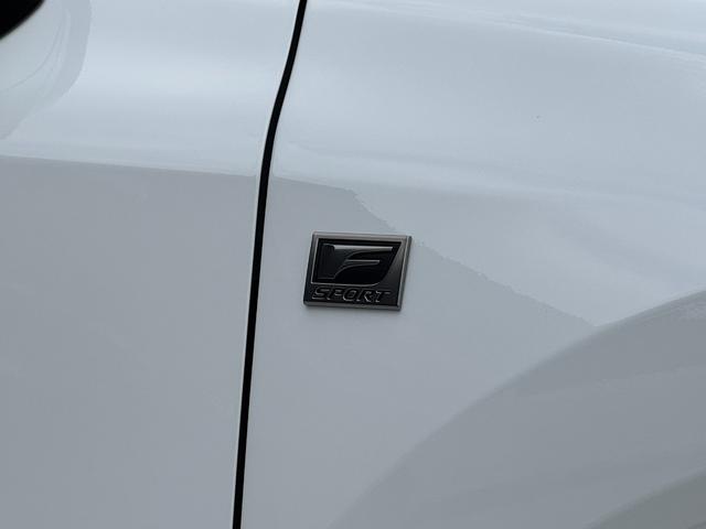 RX RX500h Fスポーツパフォーマンス マークレビンソンプレミアムサウンド パノラマルーフ ルーフレール デジタルインナーミラー 輻射ヒーター 置くだけ充電 ホワイトレザーシート ヘッドアップディスプレイ パノラミックビューモニター ETC(30枚目)