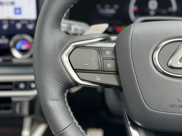 RX RX500h Fスポーツパフォーマンス マークレビンソンプレミアムサウンド パノラマルーフ ルーフレール デジタルインナーミラー 輻射ヒーター 置くだけ充電 ホワイトレザーシート ヘッドアップディスプレイ パノラミックビューモニター ETC(67枚目)