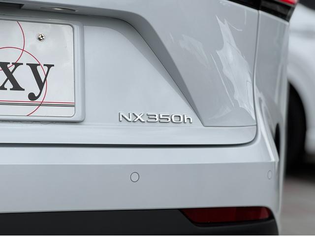 ＮＸ ＮＸ３５０ｈ　Ｆスポーツ　ムーンルーフ　デジタルインナーミラー　ＡＣ１００Ｖ　ヘーゼルレザーシート　カラーヘッドアップディスプレイ　ブラインドスポットモニター　パノラミックビューモニター　レクサスチームメイト　ＥＴＣ２．０（45枚目）