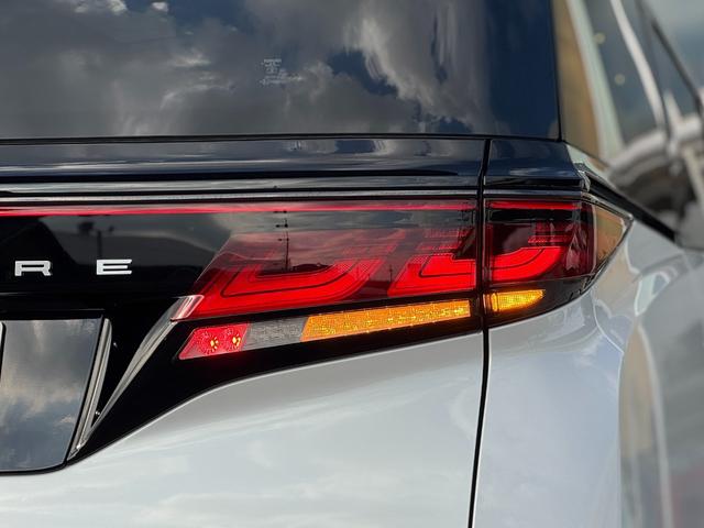 ヴェルファイア Ｚ　プレミア　ＪＢＬプレミアムサウンドシステム　１４インチリアエンターテイメント　寒冷地仕様　デジタルインナーミラー　ドライブレコーダー　左右独立ムーンルーフ　ブラウンレザーシート　パノラミックビューモニタ－（40枚目）