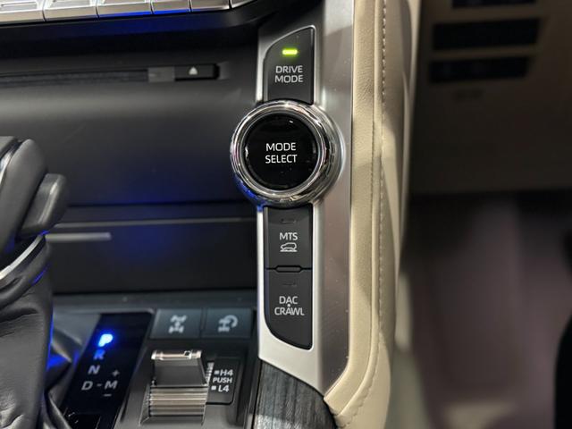 ランドクルーザー ZX JBLプレミアムサウンド リアエンターテイメント タイヤ空気圧警報システム クールBOX ルーフレール ムーンルーフ ベージュレザーシート パノラミックビューモニター ブラインドスポットモニター(66枚目)