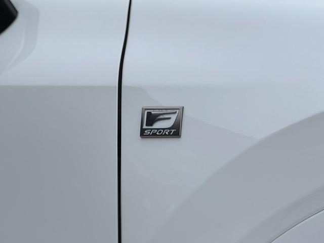 RX RX350 Fスポーツ TRDエアロダイナミクスパッケージ マークレビンソン パノラマルーフ デジタルインナーミラー 置くだけ充電 オレンジキャリパー 輻射ヒーター 21インチAW 赤レザーシート ヘッドアップディスプレイ(31枚目)