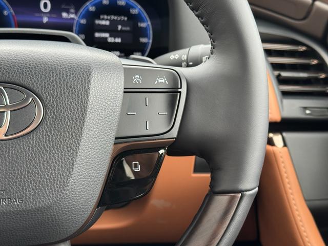 ヴェルファイア Ｚ　プレミア　ＪＢＬプレミアムサウンド　１４インチリアエンターテイメント　寒冷地仕様　デジタルミラー　左右独立ムーンルーフ　パノラミックビューモニター　ブラインドスポットモニター　スペアタイヤ　トヨタチームメイト（67枚目）