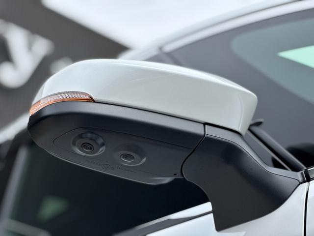 アルファード Ｚ　モデリスタ（Ｆ／Ｓ／Ｒ）　１３．２型後席モニター　左右独立ムーンルーフ　デジタルインナーミラー　トヨタチームメイト　カラーヘッドアップディスプレイ　寒冷地仕様　１４インチディスプレイ　パノラマビュー（31枚目）