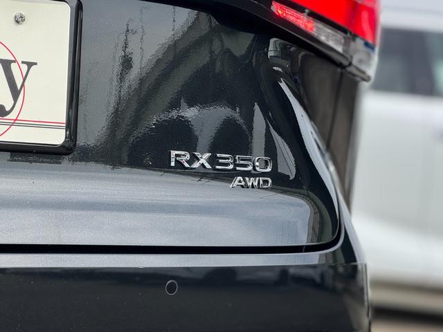 ＲＸ ＲＸ３５０　Ｆスポーツ　ホワイトレザーシート　パノラマルーフ　輻射ヒーター　オレンジキャリパー　デジタルインナーミラー　寒冷地仕様　１４インチディスプレイオーディオ　ブラインドスポットモニター　パノラミックビューモニター（45枚目）
