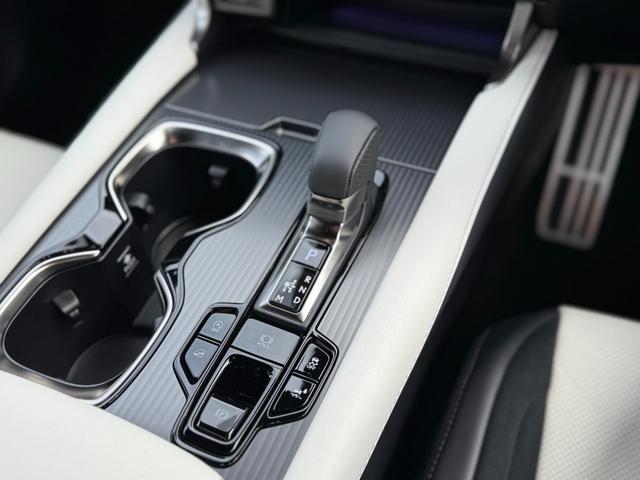 ＲＸ ＲＸ３５０　Ｆスポーツ　ホワイトレザーシート　パノラマルーフ　輻射ヒーター　オレンジキャリパー　デジタルインナーミラー　寒冷地仕様　１４インチディスプレイオーディオ　ブラインドスポットモニター　パノラミックビューモニター（65枚目）