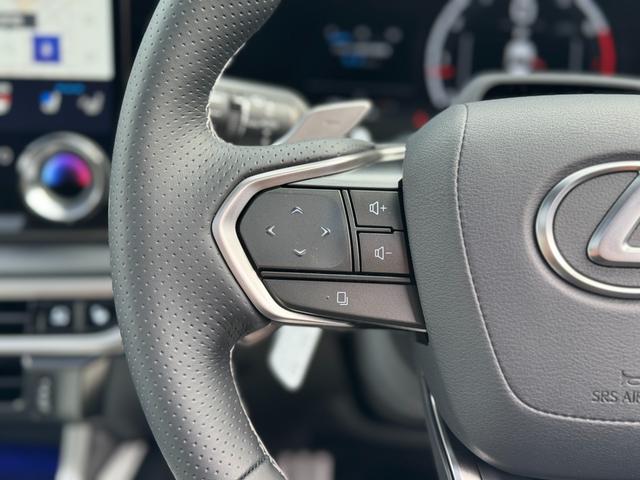 ＲＸ ＲＸ３５０　Ｆスポーツ　ホワイトレザーシート　パノラマルーフ　輻射ヒーター　オレンジキャリパー　デジタルインナーミラー　寒冷地仕様　１４インチディスプレイオーディオ　ブラインドスポットモニター　パノラミックビューモニター（69枚目）