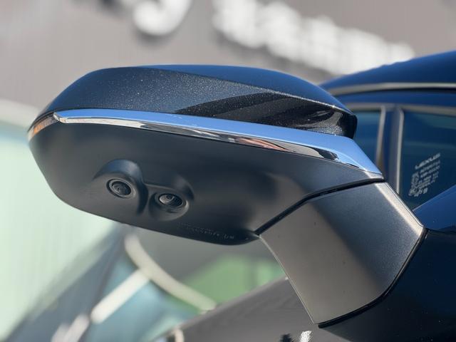 ＮＸ ＮＸ３５０ｈ　Ｆスポーツ　ＴＲＤエアロ（Ｆ／Ｓ／Ｒ　オレンジキャリパー　デジタルインナーミラー　ドライブレコーダー　アドバンストパーク　赤レザーシート　１４インチディスプレイオーディオ　パノラミックビューモニター　ＥＴＣ２．０（28枚目）