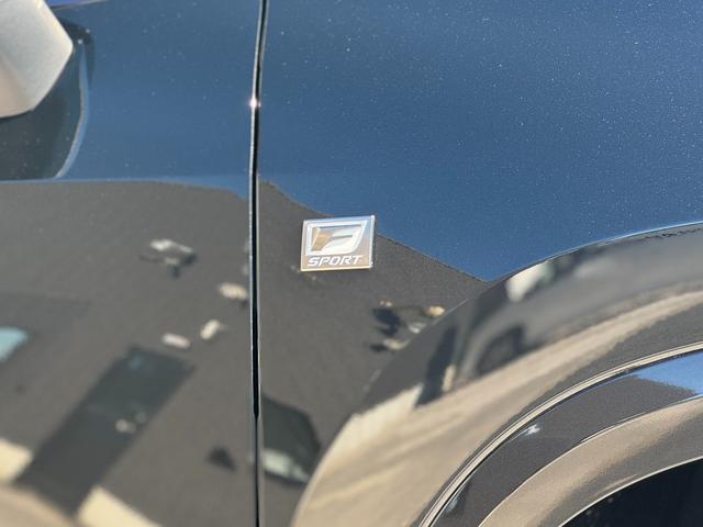 ＮＸ ＮＸ３５０ｈ　Ｆスポーツ　ＴＲＤエアロ（Ｆ／Ｓ／Ｒ　オレンジキャリパー　デジタルインナーミラー　ドライブレコーダー　アドバンストパーク　赤レザーシート　１４インチディスプレイオーディオ　パノラミックビューモニター　ＥＴＣ２．０（29枚目）