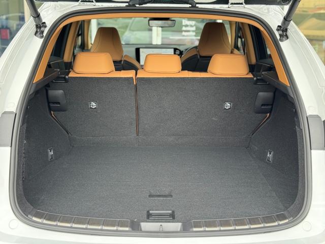NX NX350h Fスポーツ ムーンルーフ デジタルインナーミラー AC100V ヘーゼルレザーシート カラーヘッドアップディスプレイ レクサスチームメイト ブラインドスポットモニター パノラミックビューモニター ETC2.0(50枚目)