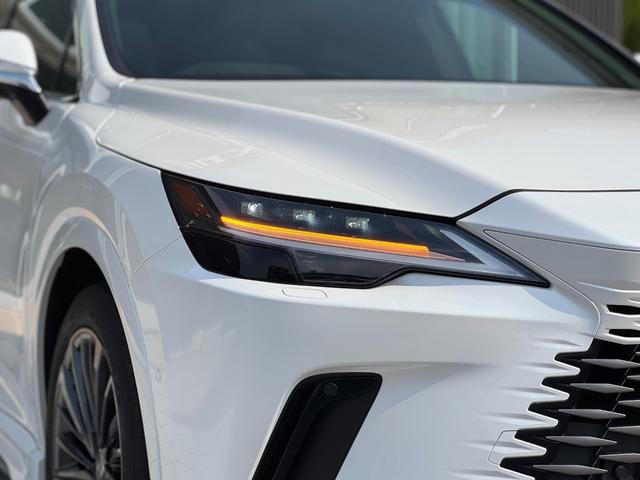 RX RX350 バージョンL モデリスタエアロ(F/S/R) パノラマルーフ デジタルインナーミラー アドバンスパーク 黒レザーシート 純正21インチAW 14ディスプレイ ブラインドスポトモニター パノラマビュー ETC2.0(23枚目)