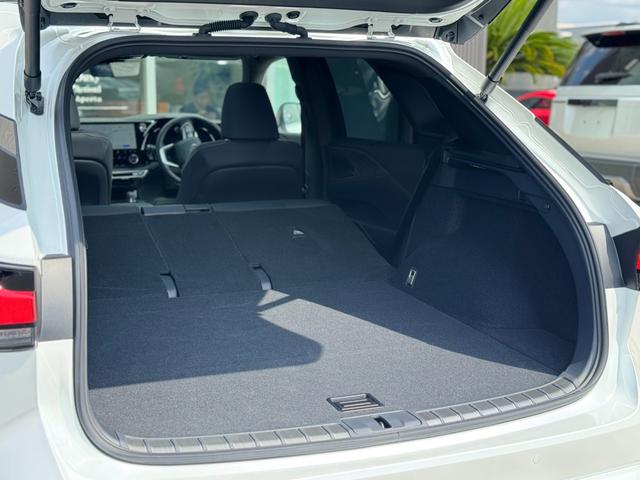 RX RX350 バージョンL モデリスタエアロ(F/S/R) パノラマルーフ デジタルインナーミラー アドバンスパーク 黒レザーシート 純正21インチAW 14ディスプレイ ブラインドスポトモニター パノラマビュー ETC2.0(38枚目)