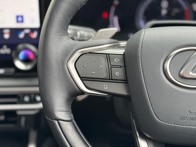 RX RX350 バージョンL モデリスタエアロ(F/S/R) パノラマルーフ デジタルインナーミラー アドバンスパーク 黒レザーシート 純正21インチAW 14ディスプレイ ブラインドスポトモニター パノラマビュー ETC2.0(65枚目)