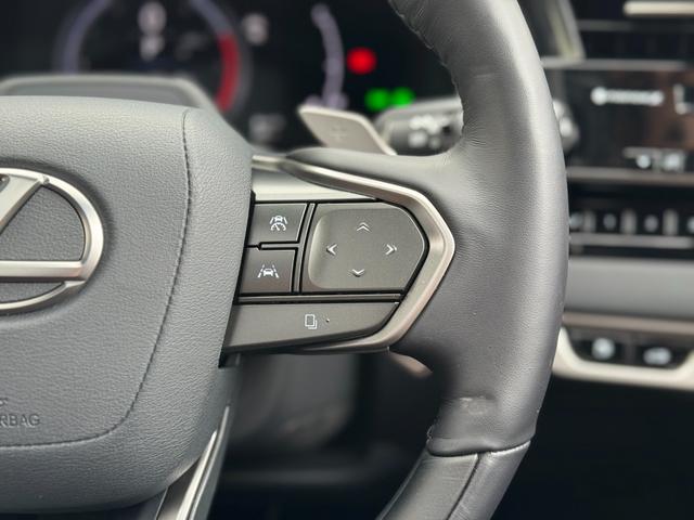 RX RX350 バージョンL モデリスタエアロ(F/S/R) パノラマルーフ デジタルインナーミラー アドバンスパーク 黒レザーシート 純正21インチAW 14ディスプレイ ブラインドスポトモニター パノラマビュー ETC2.0(66枚目)