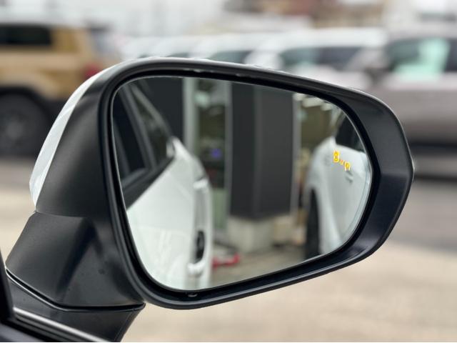 RX RX350 バージョンL モデリスタエアロ(F/S/R) パノラマルーフ デジタルインナーミラー アドバンスパーク 黒レザーシート 純正21インチAW 14ディスプレイ ブラインドスポトモニター パノラマビュー ETC2.0(73枚目)