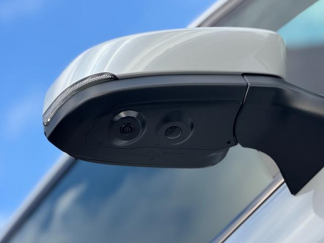 ヴェルファイア Z プレミア JBLプレミアムサウンドシステム デジタルインナーミラー 14インチリアエンターテイメント 寒冷地仕様 ブラウンレザーシート ドライブレコーダー 左右独立ムーンルーフ パノラミックビューモニタ-(29枚目)