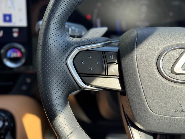 NX NX350h Fスポーツ TRDエアロ(F/S/R/マフラー) ムーンルーフ ルーフレール デジタルインナーミラー オレンジキャリパー 置くだけ充電 アドバンストパーク 3眼LEDヘッド ヘーゼルレザーシート 20インチAW(65枚目)