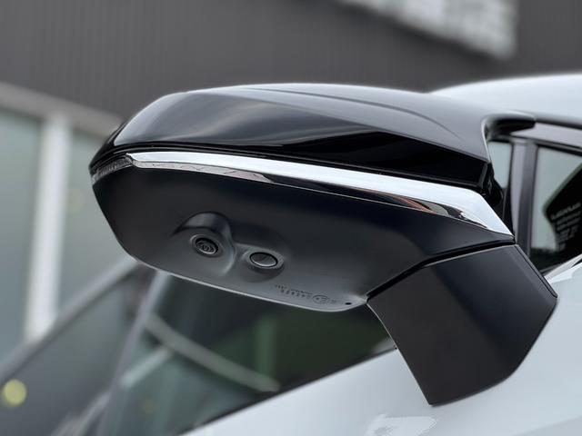 ＮＸ ＮＸ３５０ｈ　Ｆスポーツ　ＴＲＤエアロ（Ｆ／Ｓ／Ｒ）　パノラマルーフ　ルーフレール　ＬＥＸＵＳチームメイトアドバンストパーク　デジタルインナーミラー　オレンジキャリパー　３眼ＬＥＤヘッドライト　パノラマビュー　赤レザーシート（29枚目）