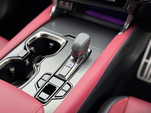 ＲＸ ＲＸ３５０　Ｆスポーツ　マークレビンソンプレミアムサウンド　パノラマルーフ　ルーフレール　輻射ヒーター　デジタルミラー　オレンジキャリパー　寒冷地仕様　赤レザーシート　ブラインドスポットモニター　パノラミックビューモニタ－（62枚目）