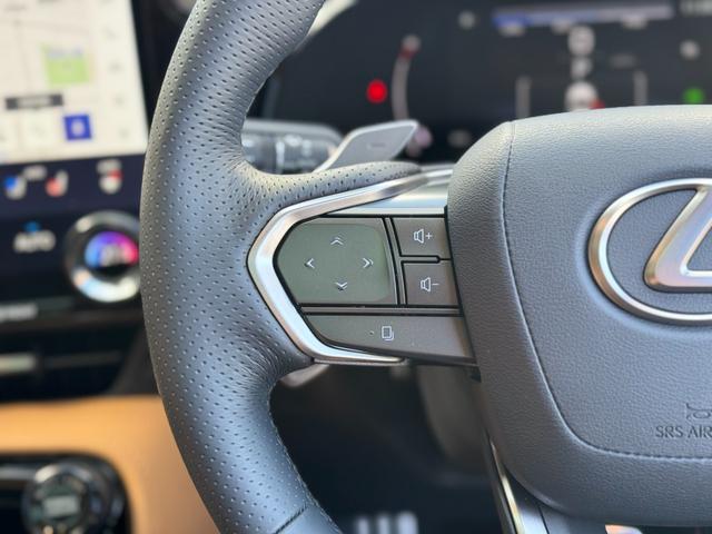 ＮＸ ＮＸ３５０ｈ　Ｆスポーツ　ＴＲＤエアロ（Ｆ／Ｓ／Ｒ）　パノラマルーフ　デジタルインナーミラー　オレンジキャリパー　ヘーゼルレザーシート　ルーフレール　ブラインドスポットモニター　アドバンストパーク　パノラミックビューモニター（68枚目）