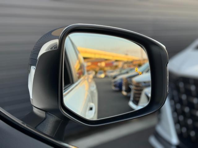 �u���C���h�X�|�b�g���j�^�[���c