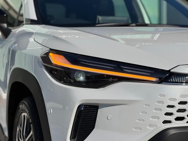 �k�d�c�w�b�h���C�g�ňÂ��铹�����邭�Ƃ炵�Ă���܂���