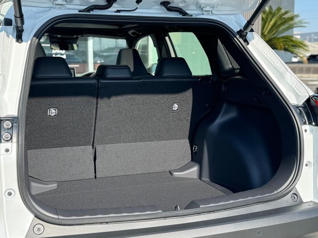 �L�X�Ƃ����g�����N�̓S���t�o�b�N���ςݍ��݉\�ł����c