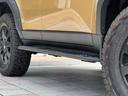 TOYOTA LAND CRUISER 250