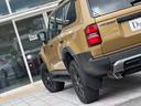 TOYOTA LAND CRUISER 250