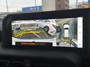 TOYOTA LAND CRUISER 250