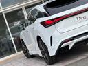 RX350 Fスポーツ TRDエアロダイナミクスパッケージ マークレビンソン パノラマルーフ デジタルインナーミラー 置くだけ充電 オレンジキャリパー 輻射ヒーター 21インチAW 赤レザーシート ヘッドアップディスプレイ(39枚目)