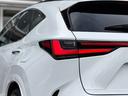 ＮＸ３５０ｈ　Ｆスポーツ　ＴＲＤエアロ（Ｆ／Ｓ／Ｒ）　パノラマルーフ　ルーフレール　ＬＥＸＵＳチームメイトアドバンストパーク　デジタルインナーミラー　オレンジキャリパー　３眼ＬＥＤヘッドライト　パノラマビュー　赤レザーシート（41枚目）