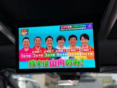 ʥ˥ 7