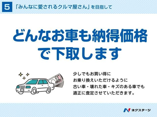 ２５０ＧＴ　Ａパッケージ　純正ＨＤＤナビ　バックカメラ　クルーズコントロール　革巻きステアリング　ハーフレザーシート　純正１８インチＡＷ　ＨＩＤヘッドライト　ＥＴＣ　禁煙車　デュアルオートエアコン　電動格納ミラー　スマートキー(53枚目)