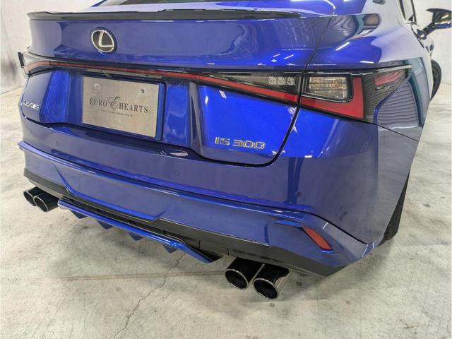 ＩＳ ＩＳ３００　Ｆスポーツ　ＴＲＤ　Ｆスポイラー／Ｓスカート／Ｒディフューザ　エアロダイナミクスミラー　オレンジキャリパ　白革　ブラックペイントＡＷ　シートヒータ／ベンチレーション　ステアリングヒータ　３眼ＬＥＤヘッド　ＢＳＭ（47枚目）