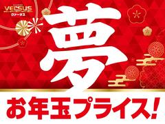 �����������ޤ�ʿ������ǯ�٤������£�ǯ�٤ޤǣ���ǯϢ³����ż�����������Ÿ��Σϡ����Ȥʤ�ޤ��������ʻ��Ÿ�����ܼҤ��֤������Ҥ�Ϣ��١�������������ꥵ����Ĵ�١ˢ����ҥ����������ؤ�Ǥ������������ 3