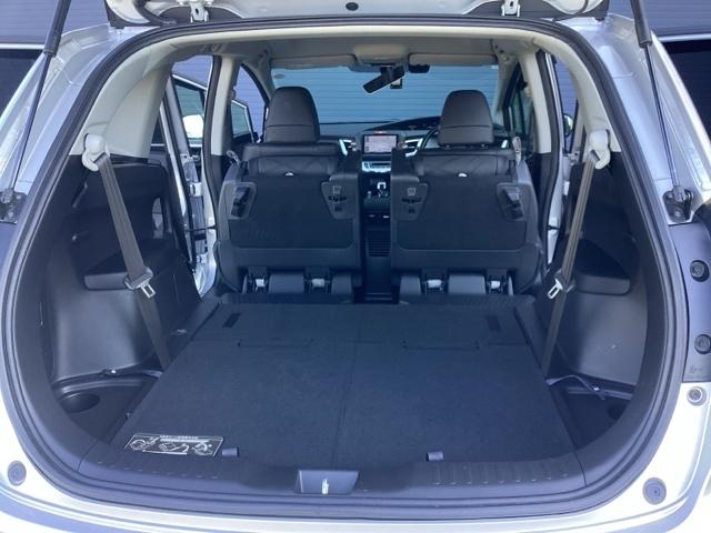 ジェイド ハイブリッドＸ（19枚目）