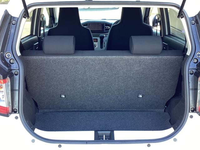 大きな開口部が特徴的です。