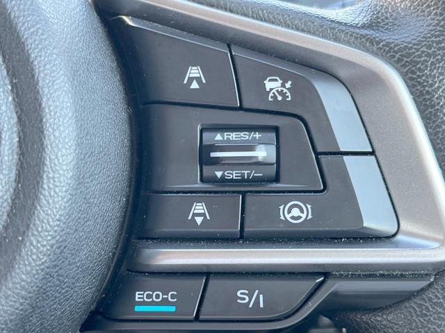 フォレスター アドバンス 禁煙車 純正パナソニックナビ アイサイトセイフティ+ スマートビューミラー フロント・サイド・バックカメラ パワーバックドア ETC 純正18インチアルミ ルーフレール フリップダウン LEDライナー(52枚目)