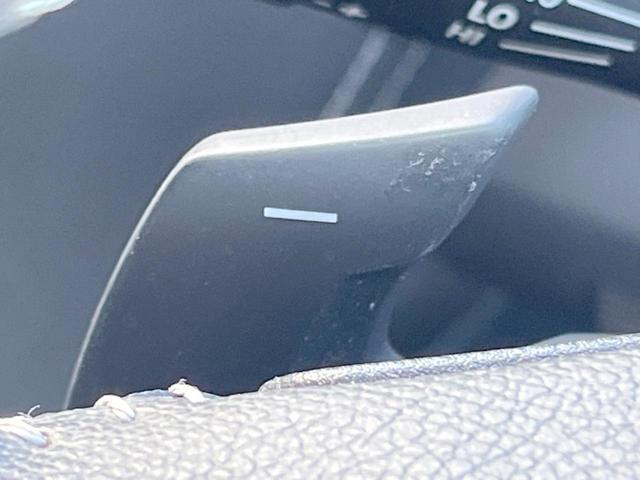 フォレスター アドバンス 禁煙車 純正パナソニックナビ アイサイトセイフティ+ スマートビューミラー フロント・サイド・バックカメラ パワーバックドア ETC 純正18インチアルミ ルーフレール フリップダウン LEDライナー(56枚目)