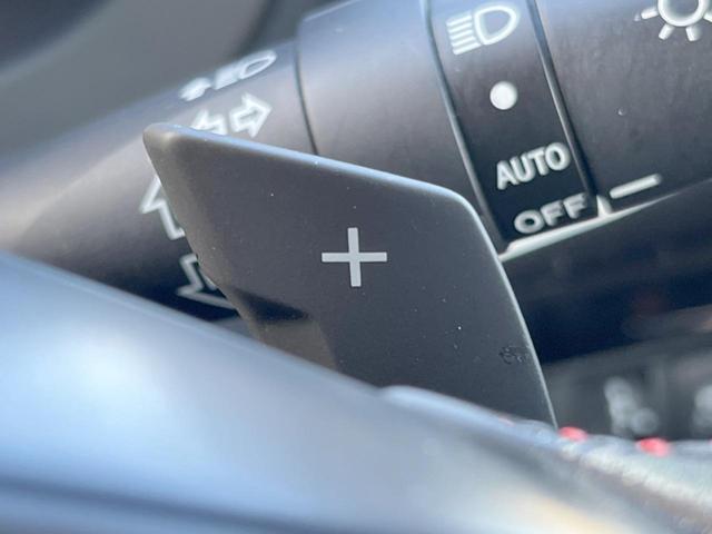 レヴォーグ 2.0STIスポーツアイサイト 禁煙車 アドバンスドセイフティPKG 純正パナソニック製SDナビ サイド・バックカメラ シートヒーター メモリーシート ETC LEDヘッド LEDライナー STIチューニングBILSTEINダンパー(49枚目)