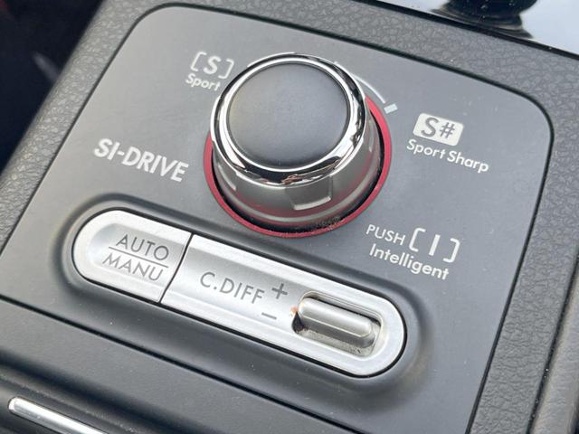 ＷＲＸ ＳＴＩ ＳＴＩ　タイプＳ　禁煙車　ＳＴＩタワーバー　純正ＫＥＮＷＯＯＤ製ナビ　バックカメラ　シートヒーター　ＥＴＣ　パワーシート　純正１９インチアルミ　ＬＥＤヘッド　ＬＥＤライナー　大型リアスポ　ＢＩＬＳＴＥＩＮダンパー（41枚目）