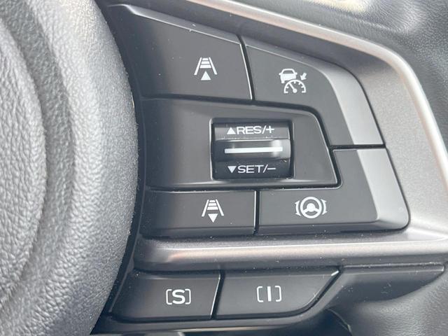 フォレスター スポーツ　禁煙車　アイサイトセイフティプラス　スマートリアビューミラー　純正ダイアトーンサウンドナビ　パワーバックドア　ＥＴＣ　ハーフレザー　純正１８インチアルミ　ＬＥＤヘッド　ルーフレール　ＬＥＤライナー（53枚目）
