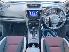 ���롼�����߸˿��󣳣����������桪������η���Ź����᡼�������ּ���鷺���Ҳ�����Τǡ����ʤ��˥ԥå���Τ��֤����Ĥ���Ϥ��Ǥ����ޤ��Ϥ��䤤��碌�������� 2