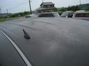 カスタムＧ　ＥＴＣ　ＴＶ　ＨＩＤ　スマートキー　電動格納ミラー　ＣＶＴ　盗難防止システム　ＡＢＳ　アルミホイール　衝突安全ボディ　エアコン　パワーステアリング　パワーウィンドウ（39枚目）