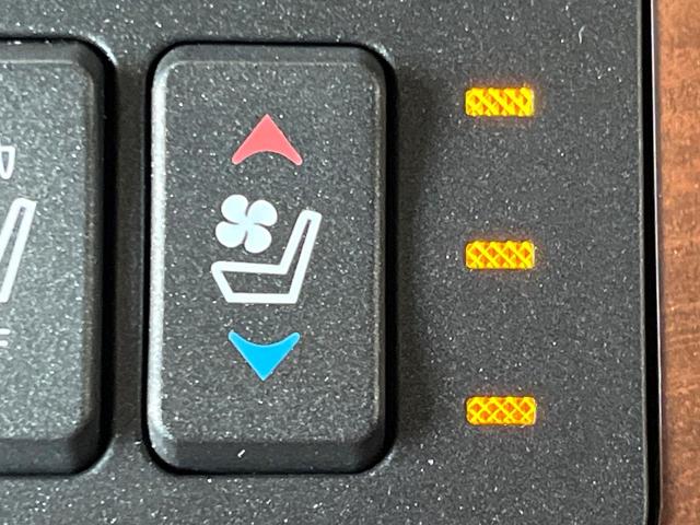 LS LS600h バージョンL マークレビンソンサウンド プリクラッシュセーフティシステム レーダークルーズコントロール レーンキープアシスト パワートランクリッド 純正18インチアルミ 黒革シート メモリー機能付きパワーシート(52枚目)