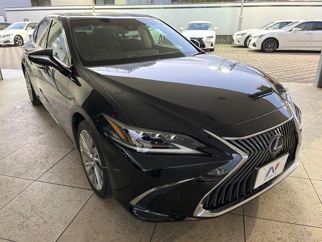 ＥＳ ＥＳ３００ｈ　バージョンＬ　デジタルインナーミラー　パノラミックビューモニター　マークレビンソンサウンド　ムーンルーフ　ブラインドスポット　パドルシフト　純正１８インチアルミ　メモリー機能付きパワーシート　パワートランクリッド（17枚目）