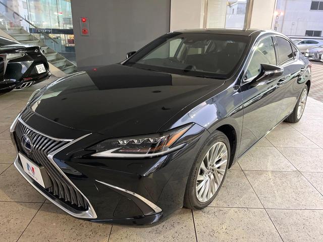 ＥＳ ＥＳ３００ｈ　バージョンＬ　デジタルインナーミラー　パノラミックビューモニター　マークレビンソンサウンド　ムーンルーフ　ブラインドスポット　パドルシフト　純正１８インチアルミ　メモリー機能付きパワーシート　パワートランクリッド（22枚目）